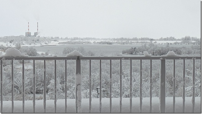 PXL_20251209_005553022