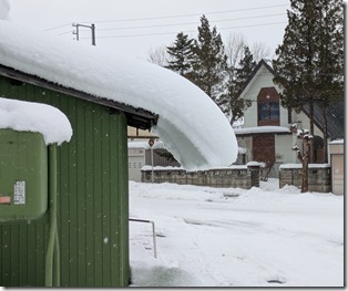 PXL_20251215_045057360