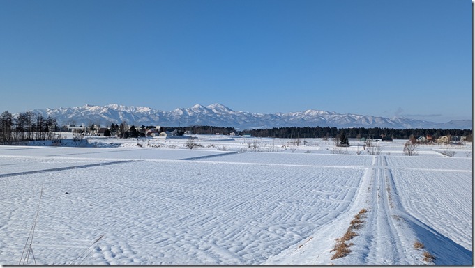 PXL_20251223_010459504