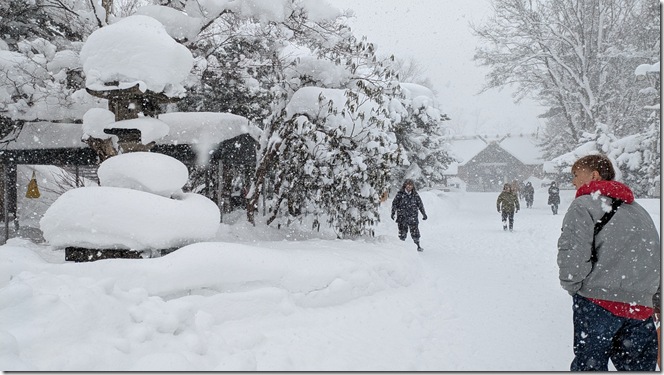 PXL_20260115_011422376