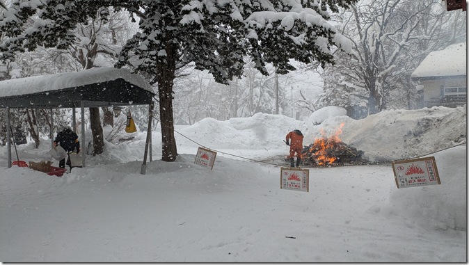 PXL_20260115_011528420