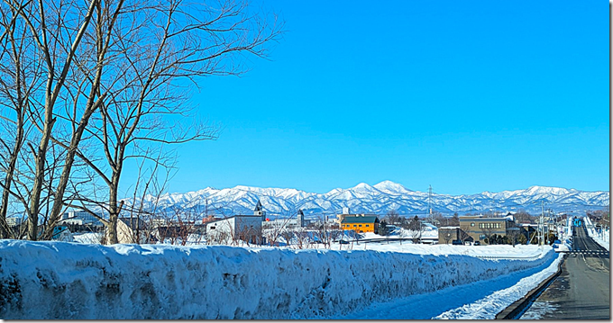 スクリーンショット 2026-02-20 163301