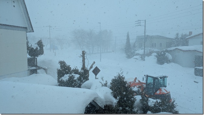 PXL_20260206_002251932