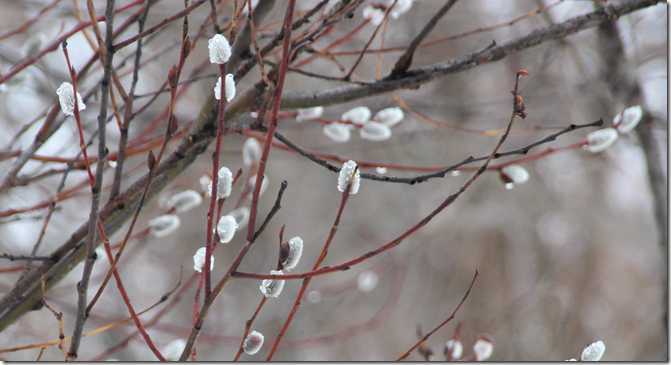 スクリーンショット 2026-02-28 154111 スクリーンショット 2026-02-28 154111