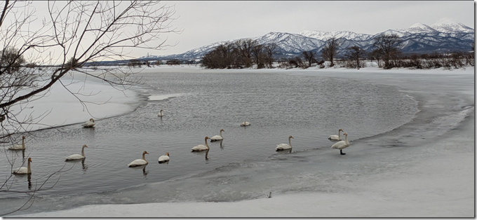 スクリーンショット 2026-03-04 184344