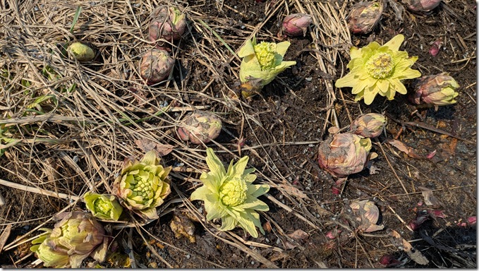 PXL_20260322_015046196