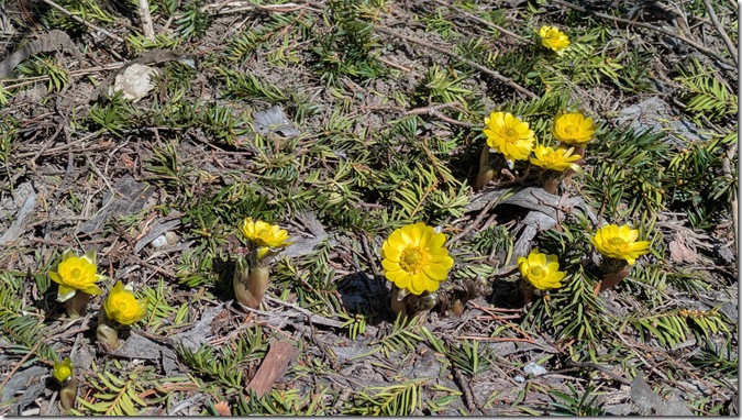 PXL_20260326_021357546