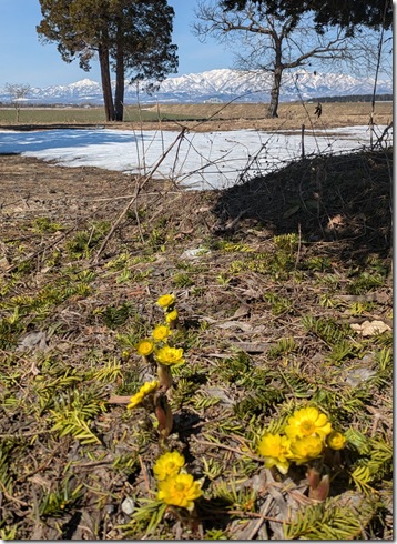 PXL_20260326_021454357