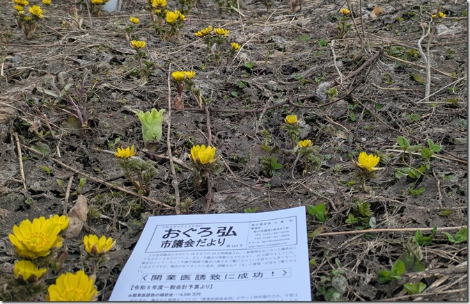 PXL_20260329_052247878